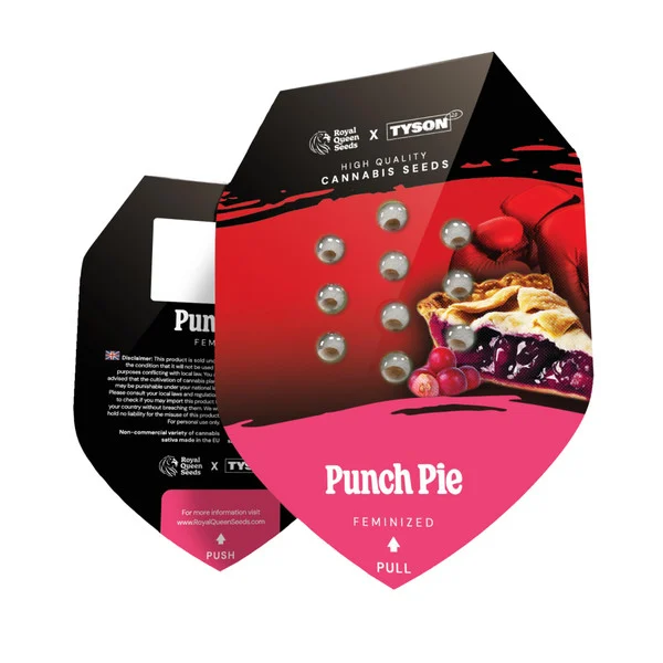 Royal Queen Seeds Tyson Punch Pie Verpackung | High420.de Royal Queen Seeds Tyson Punch Pie Cannabis Samen Verpackung